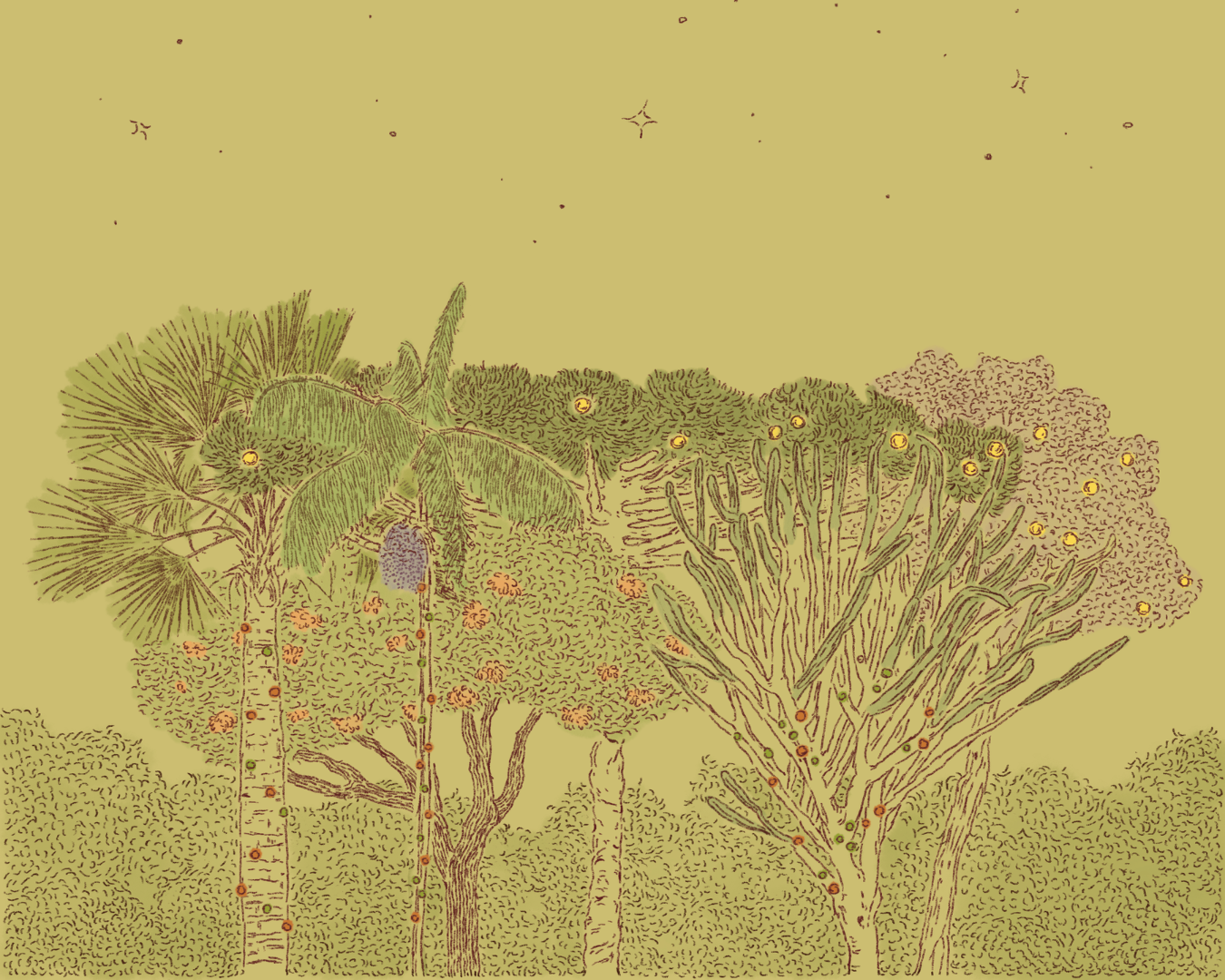 A vibe única e vibrante do natal brasileiro (onde o sol encontra o afeto)