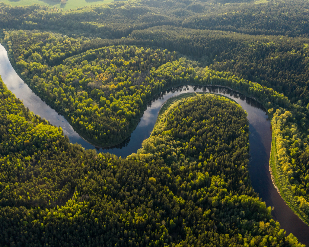 5 de Setembro, Dia da Amazônia: entre a urgência e o cuidado