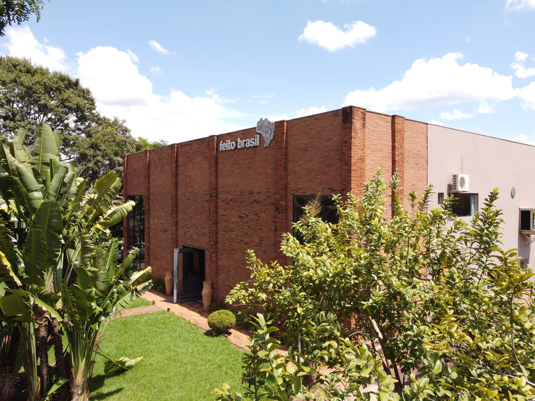 Dia Mundial da Educação Ambiental: o compromisso da feito brasil com um futuro sustentável