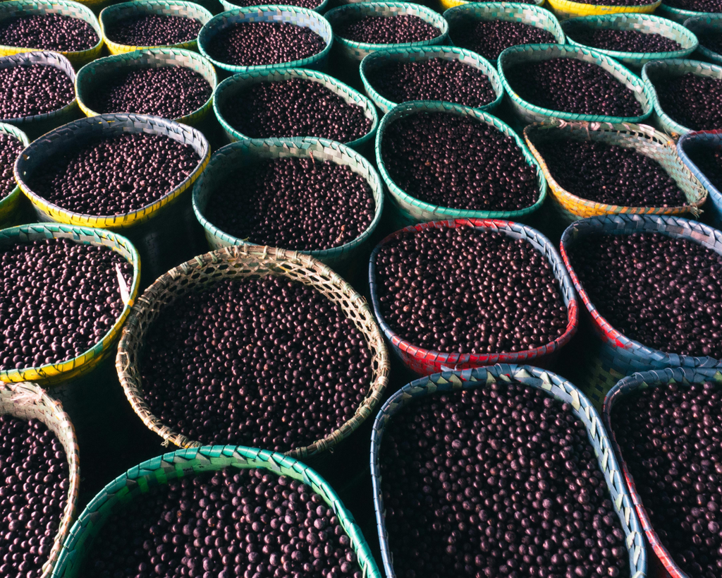 Da Amazônia para o mundo: como ingredientes brasileiros estão revolucionando o cuidado corporal