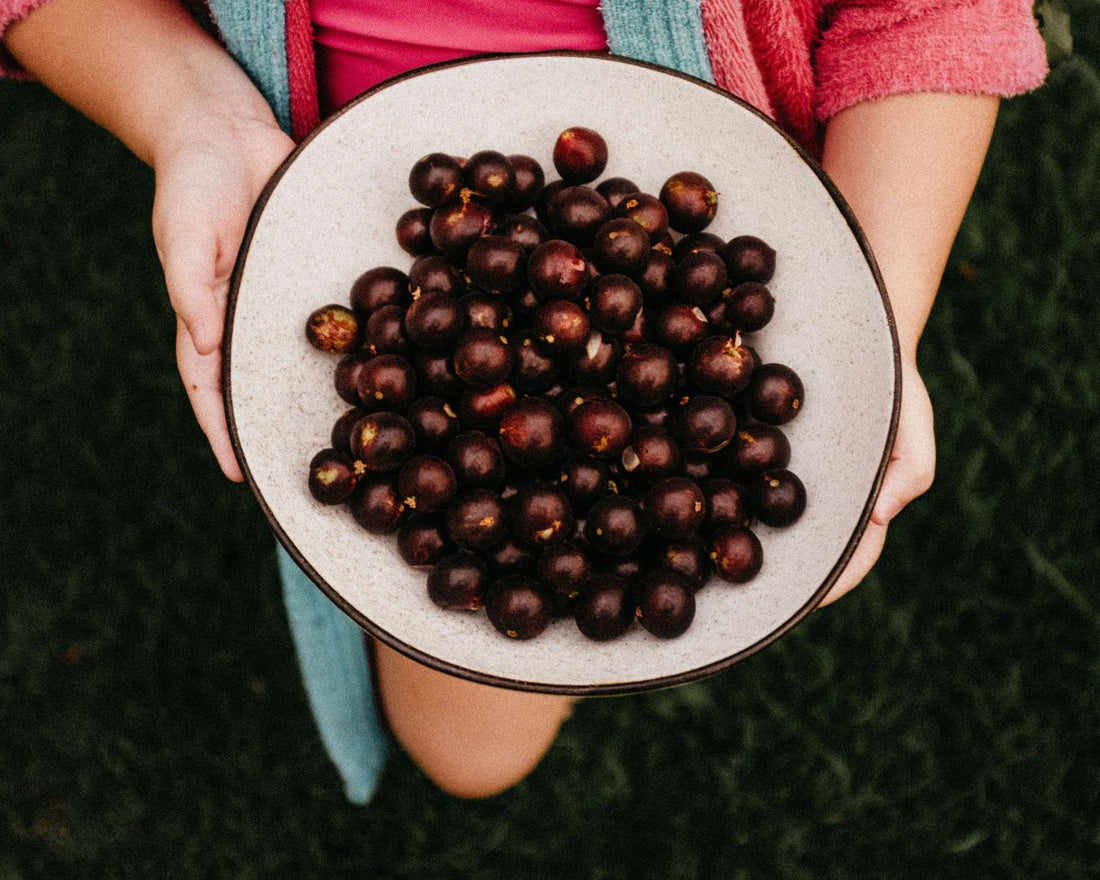 Jabuticaba: 100% nativa e nossa