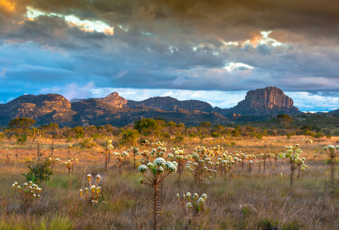Explorando o encanto do Vale do Jequitinhonha: uma jornada pela cultura e tradições