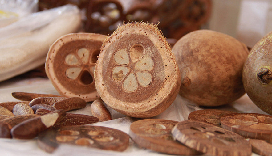 Descobrindo os segredos do Babaçu