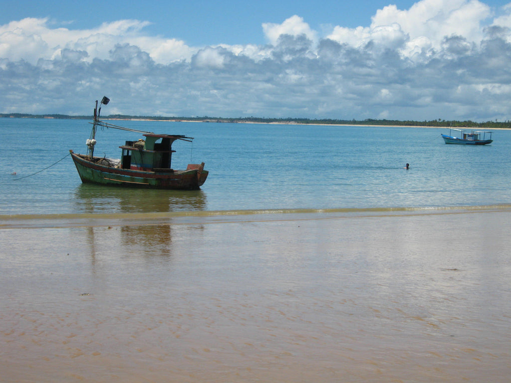 Uma viagem pelas maravilhas do Sul da Bahia
