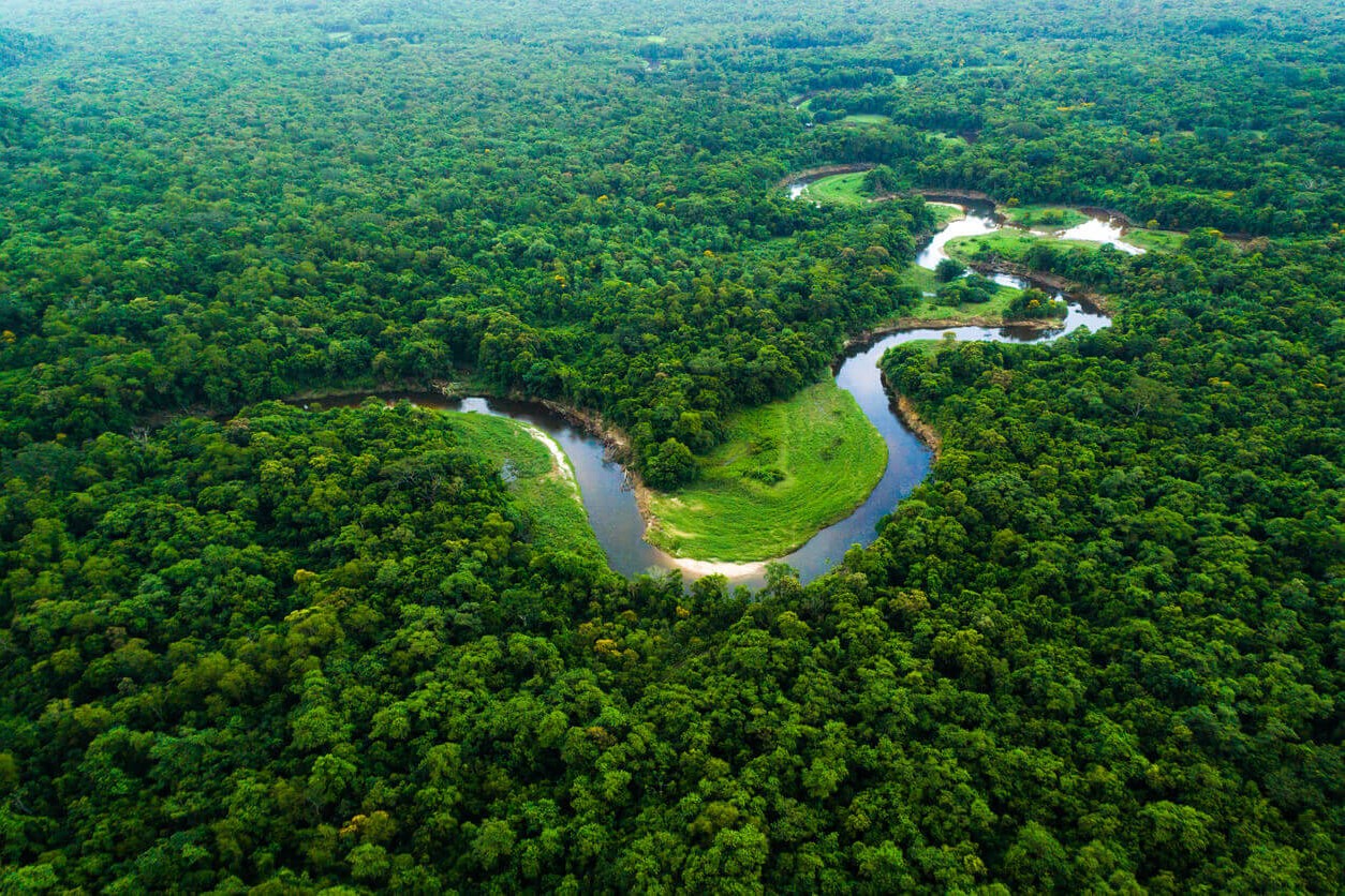 Embrapa amplia parceria com a TIM para impulsionar a bioeconomia sustentável na Amazônia em 2026 1 Dia da Amazônia: uma celebração à floresta que respira o mundo – feito brasil