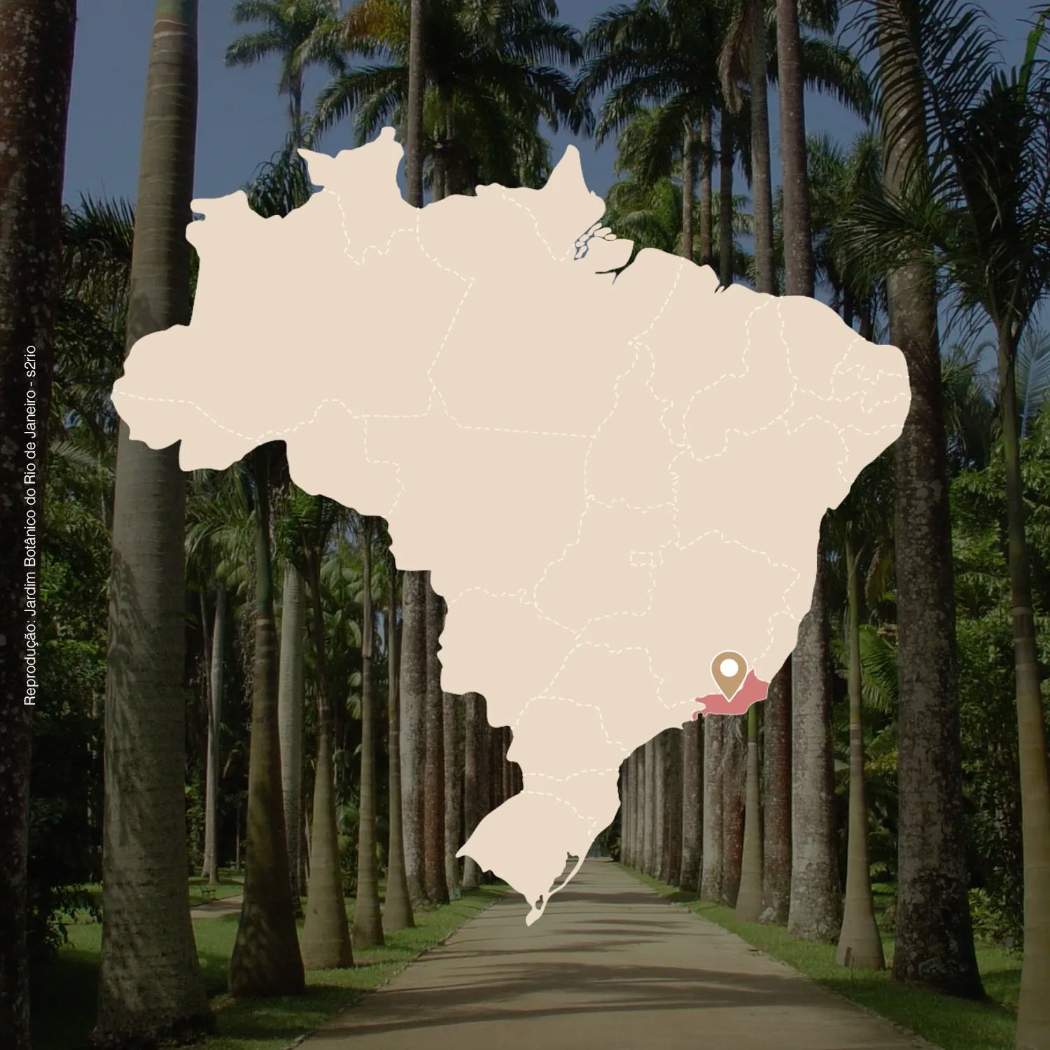 feito brasil