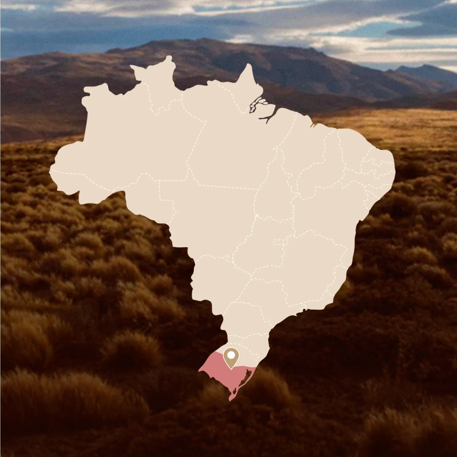feito brasil