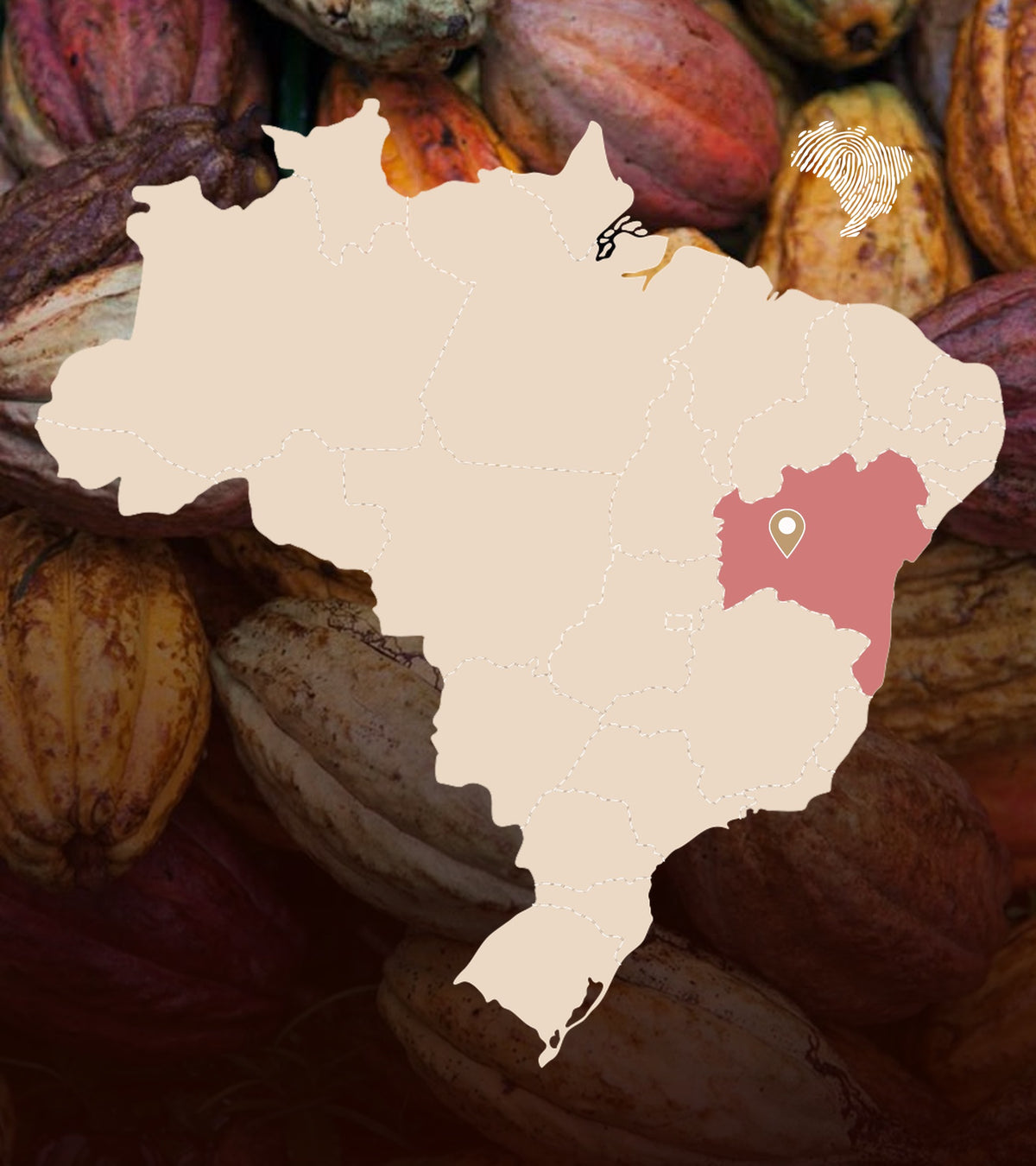 feito brasil
